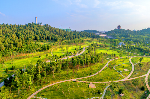 園冶杯專(zhuān)業(yè)獎(jiǎng)：曾子廣場(chǎng)及洪山河景觀綠化
