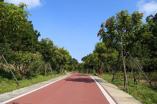 園冶杯專業獎：不忘初心·共建紅林