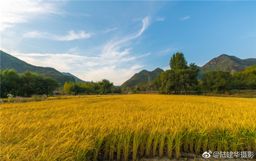 園冶杯專業(yè)獎(jiǎng)：熱河飲馬川