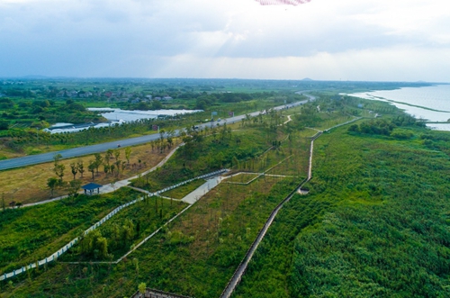 園冶杯專業(yè)獎(jiǎng)：環(huán)巢湖旅游大道