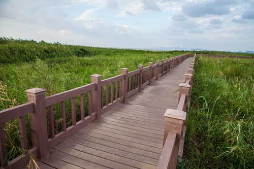 園冶杯專業(yè)獎(jiǎng)：環(huán)巢湖旅游大道
