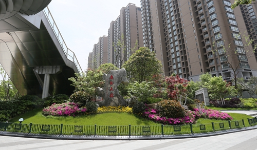 園冶杯專業(yè)獎(jiǎng)：新塘路（新風(fēng)路-新業(yè)路）綜合整治工程景觀綠化Ⅰ標(biāo)段