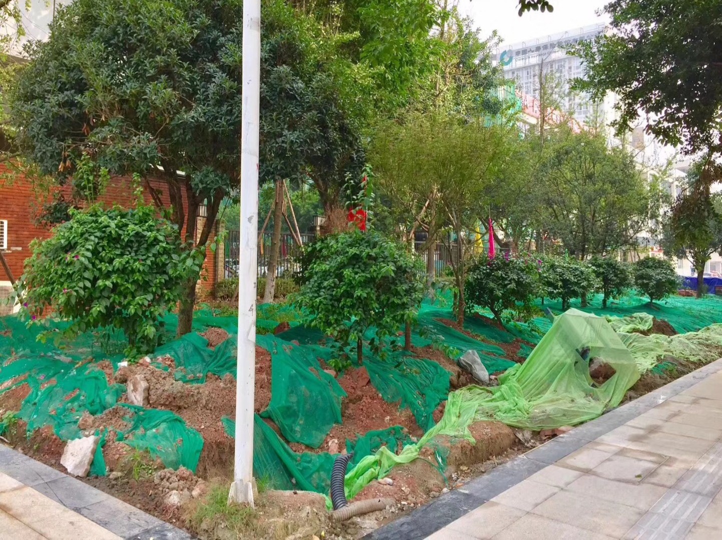 園冶杯專業獎：資陽市嬌子大道綜合整治建設工程-節點景觀提升