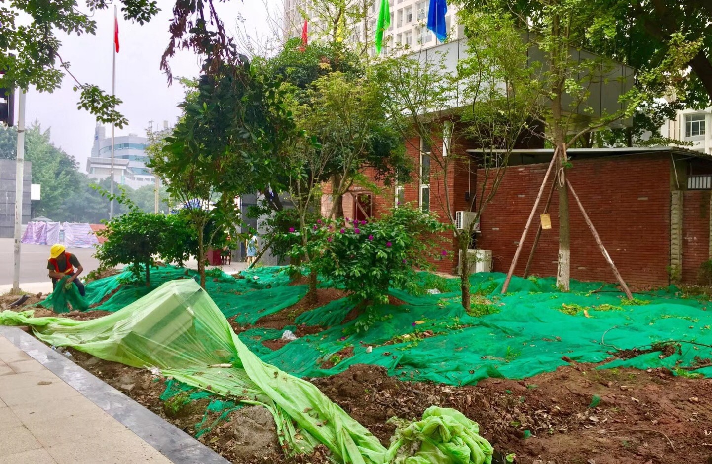 園冶杯專業獎：資陽市嬌子大道綜合整治建設工程-節點景觀提升