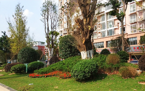 園冶杯專業獎：資陽市嬌子大道綜合整治建設工程-節點景觀提升