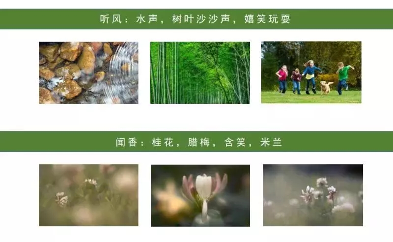 園冶杯專(zhuān)業(yè)獎(jiǎng)：聯(lián)投·棲夢(mèng)臺(tái)示范區(qū)