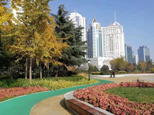 園冶杯專業獎：青島市普寧路游園景觀工程