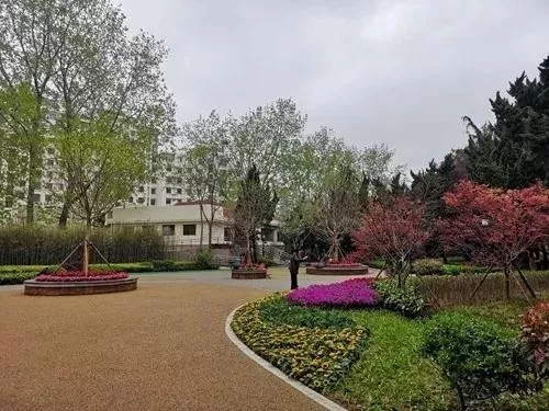 園冶杯專業獎：青島市普寧路游園景觀工程