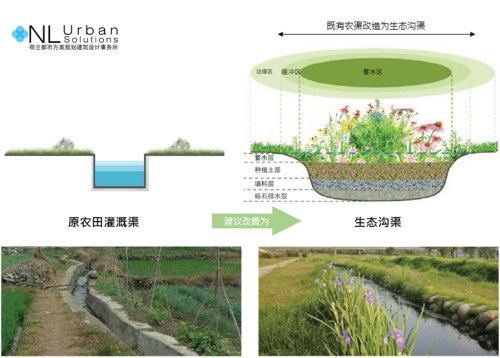 園冶杯專業(yè)獎：安順市邢江河上游水環(huán)境治理