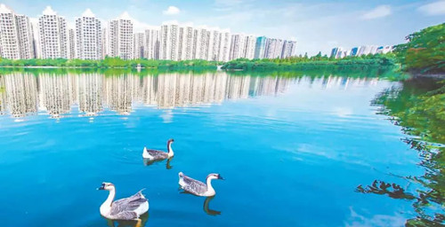 引領城市未來，中國“公園城市”建設前路美好