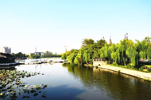 引領城市未來，中國“公園城市”建設前路美好