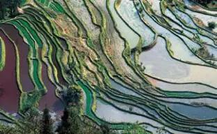 王向榮《景觀筆記：自然·文化·設(shè)計(jì)》