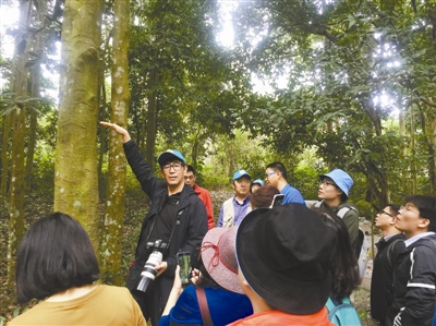 北林大“青藍計劃”學員走進熱帶森林