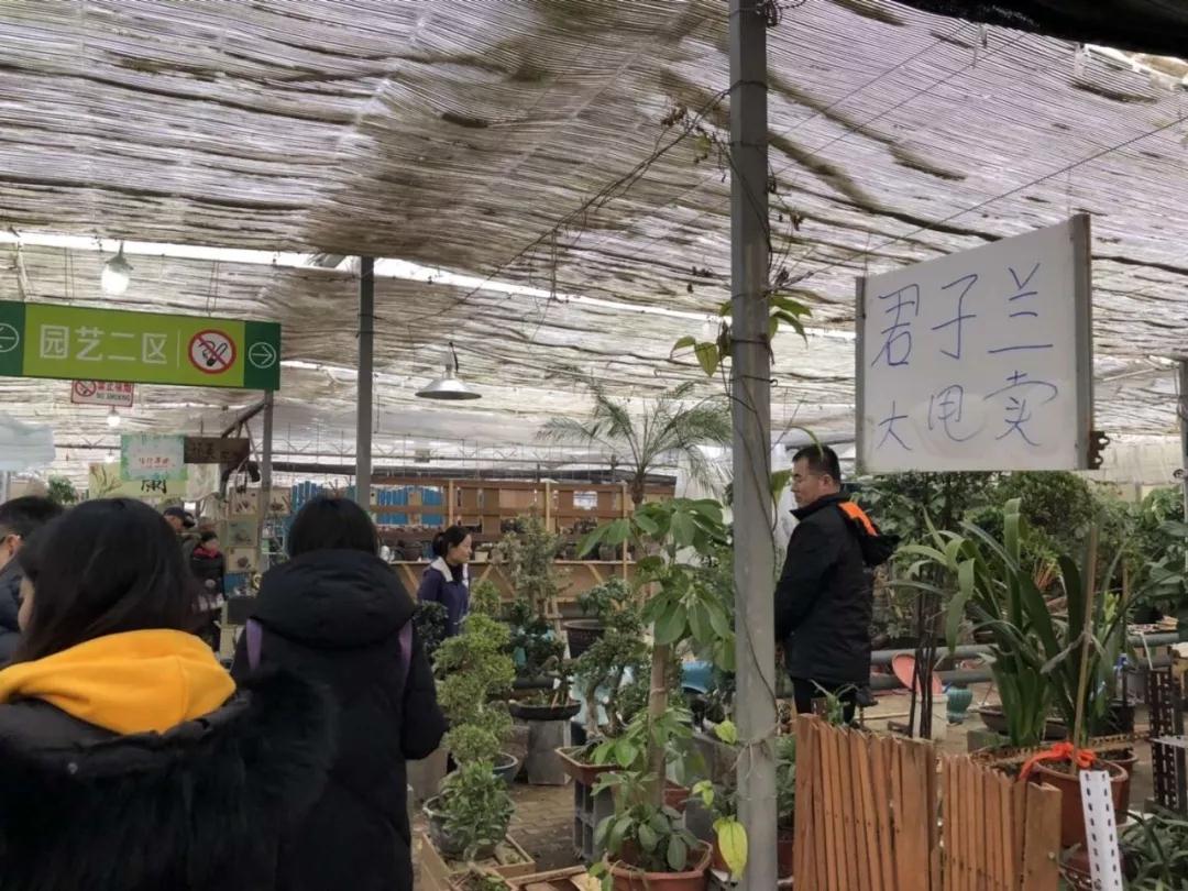 大連西郊園藝超市于2月11日起停業(yè)整改