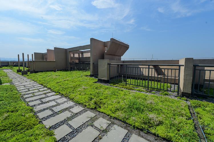 悅來試點海綿城市建設(shè) 三大亮點可以“復(fù)制”