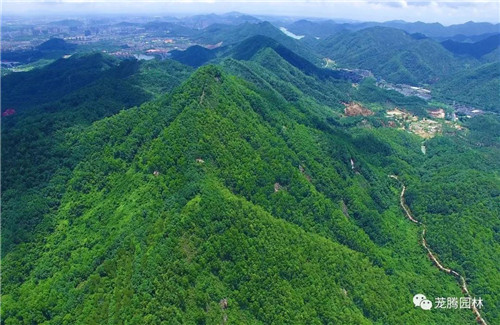林城山水中，享一份寧靜——廣東中山國家森林公園