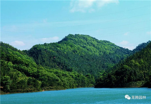 林城山水中，享一份寧靜——廣東中山國家森林公園