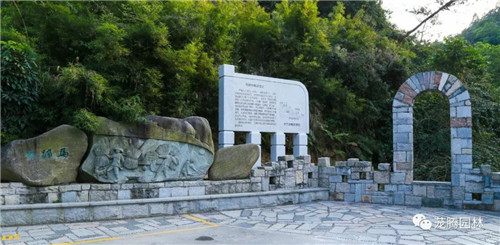 林城山水中，享一份寧靜——廣東中山國家森林公園