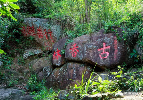 林城山水中，享一份寧靜——廣東中山國家森林公園