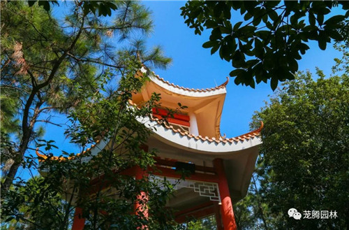 林城山水中，享一份寧靜——廣東中山國家森林公園