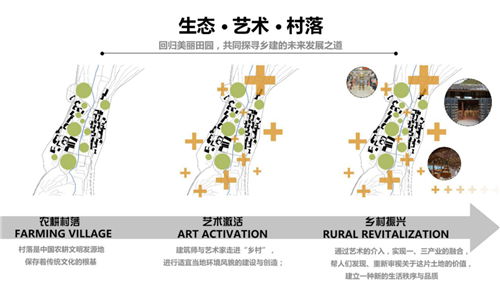 朱玲：鄉(xiāng)村設計之生命力——設計與產業(yè)協(xié)同