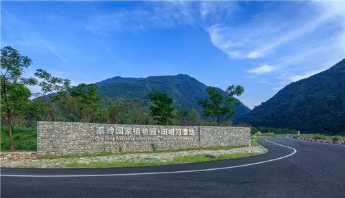 超低造價(jià)的生態(tài)景觀 | 秦嶺國(guó)家植物園人工濕地