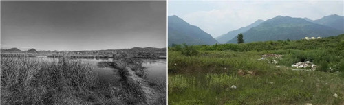 超低造價(jià)的生態(tài)景觀 | 秦嶺國(guó)家植物園人工濕地
