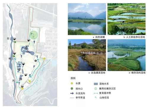 超低造價(jià)的生態(tài)景觀 | 秦嶺國(guó)家植物園人工濕地
