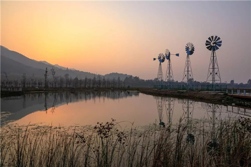 超低造價(jià)的生態(tài)景觀 | 秦嶺國(guó)家植物園人工濕地
