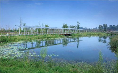 超低造價(jià)的生態(tài)景觀 | 秦嶺國(guó)家植物園人工濕地