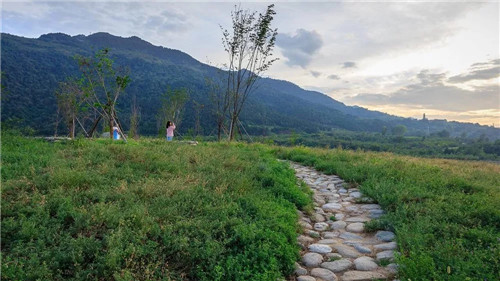 超低造價(jià)的生態(tài)景觀 | 秦嶺國(guó)家植物園人工濕地