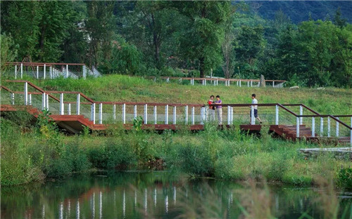 超低造價(jià)的生態(tài)景觀 | 秦嶺國(guó)家植物園人工濕地