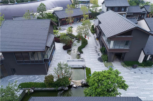 禪緣此地，不向遠方——新興禪域小鎮