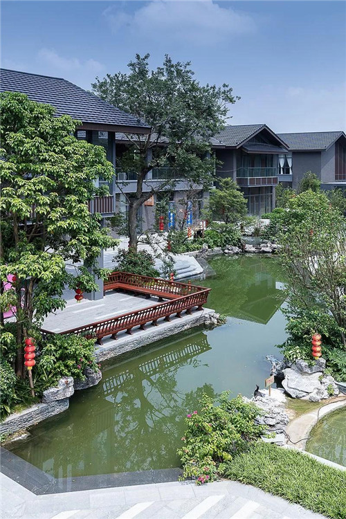 禪緣此地，不向遠方——新興禪域小鎮