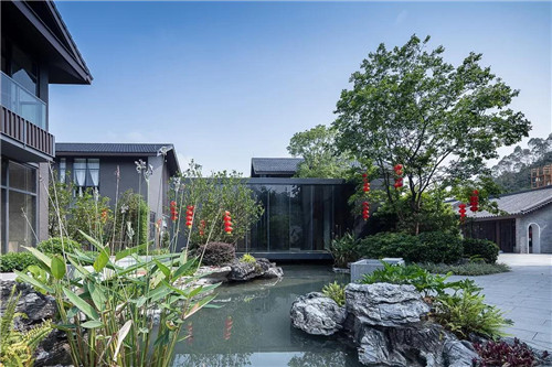 禪緣此地，不向遠方——新興禪域小鎮