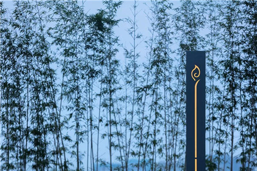 禪緣此地，不向遠方——新興禪域小鎮
