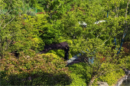 賽肯思景觀丨南京高科紫微堂大區(qū)