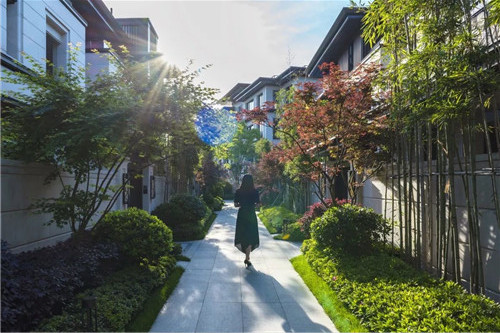 賽肯思景觀丨南京高科紫微堂大區(qū)