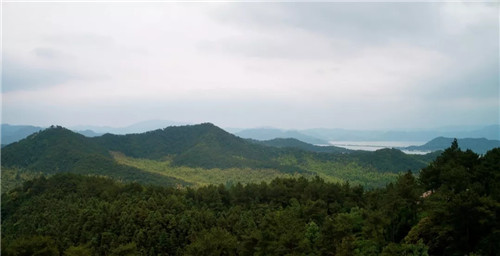 打造夢(mèng)想中的自然棲息地丨浙江龍湖坤和·天境