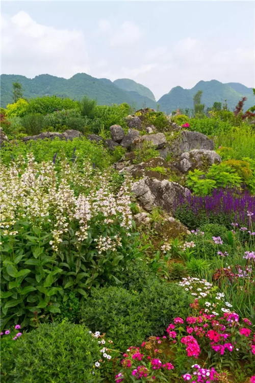 “秘密花園”，云漫湖的詩(shī)與遠(yuǎn)方！
