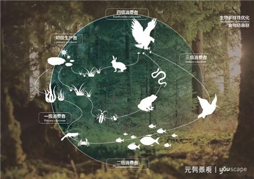 蜀國(guó)新天府，秀色看簡(jiǎn)州——成都龍升公園