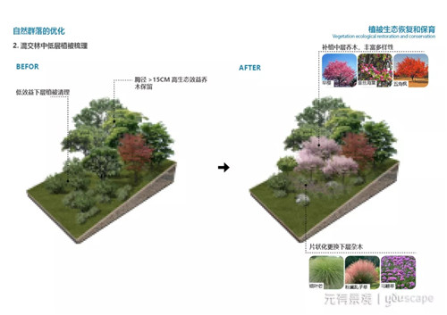 蜀國(guó)新天府，秀色看簡(jiǎn)州——成都龍升公園