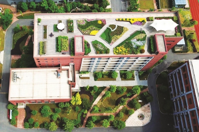 上海在城市更新中大力推廣立體綠化（多圖）