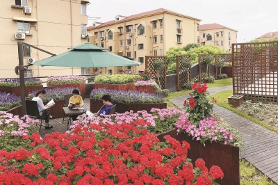 上海在城市更新中大力推廣立體綠化（多圖）
