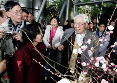 這一次，牡丹能當上中國的國花嗎？