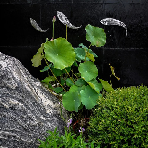 2019園冶杯專業(yè)獎丨沈陽龍湖九里晴川示范區(qū)