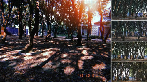 我把名字寫在了時(shí)間里丨華潤置地 西園悅府