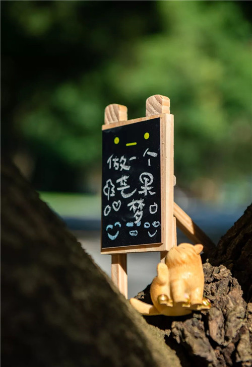 我把名字寫在了時(shí)間里丨華潤置地 西園悅府