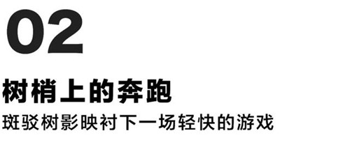 貴陽(yáng)中南·春風(fēng)南岸 社區(qū)花園實(shí)踐