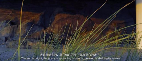 貴陽(yáng)中南·春風(fēng)南岸 社區(qū)花園實(shí)踐